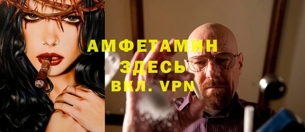дживик Верхний Тагил