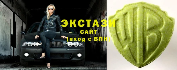 дживик Верхний Тагил