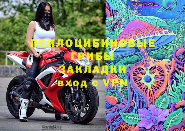 ALPHA PVP Богданович