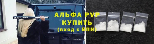 дживик Верхний Тагил