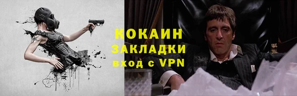 дживик Верхний Тагил