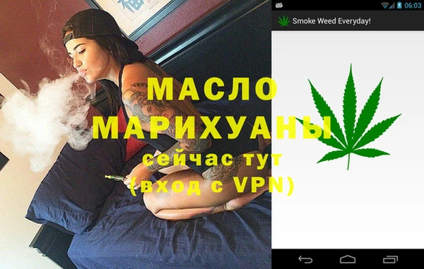 дживик Верхний Тагил