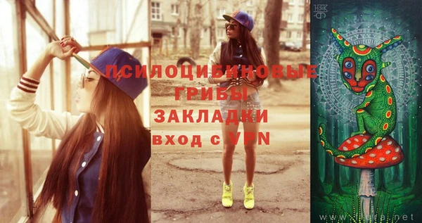 дживик Верхний Тагил