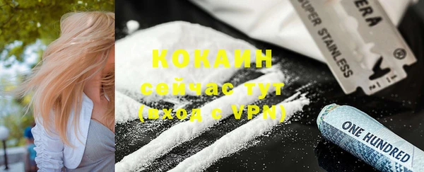 дживик Верхний Тагил