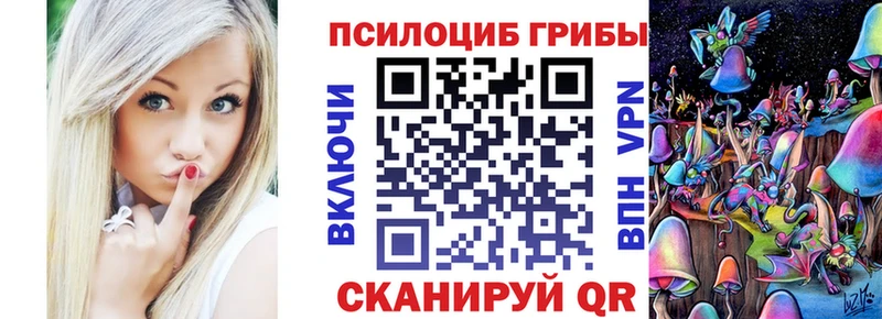 Псилоцибиновые грибы мицелий  Гагарин 